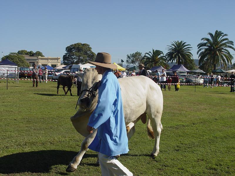 beef-week 013.jpg